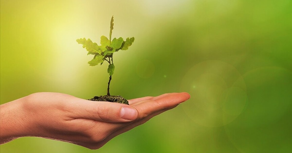COP31 için çevre ve iklim medya turu başlıyor