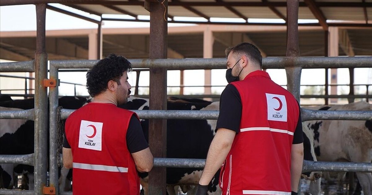Türk Kızılay Kurban Bağışı Kampanyası