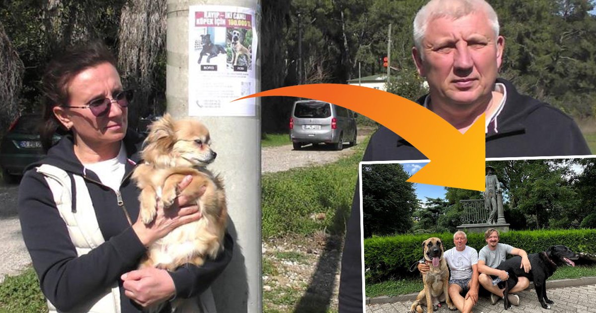 Rus Aileler, Kayıp Köpekleri İçin Ödüllü Arama Çalışmalarını Sürdürüyor