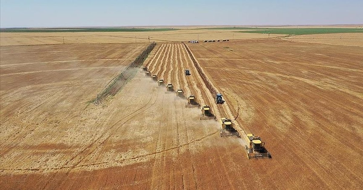 Toprağın Korunması için Arazi Kullanım Planları Hazırlanacak
