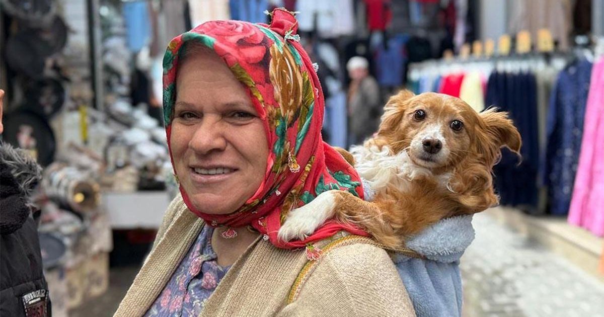 İnsanlardan korkan köpek için özel yöntem