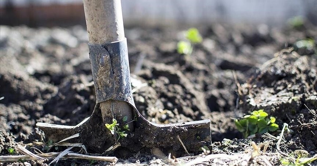 AB'den gübre krizine karşı destek planı