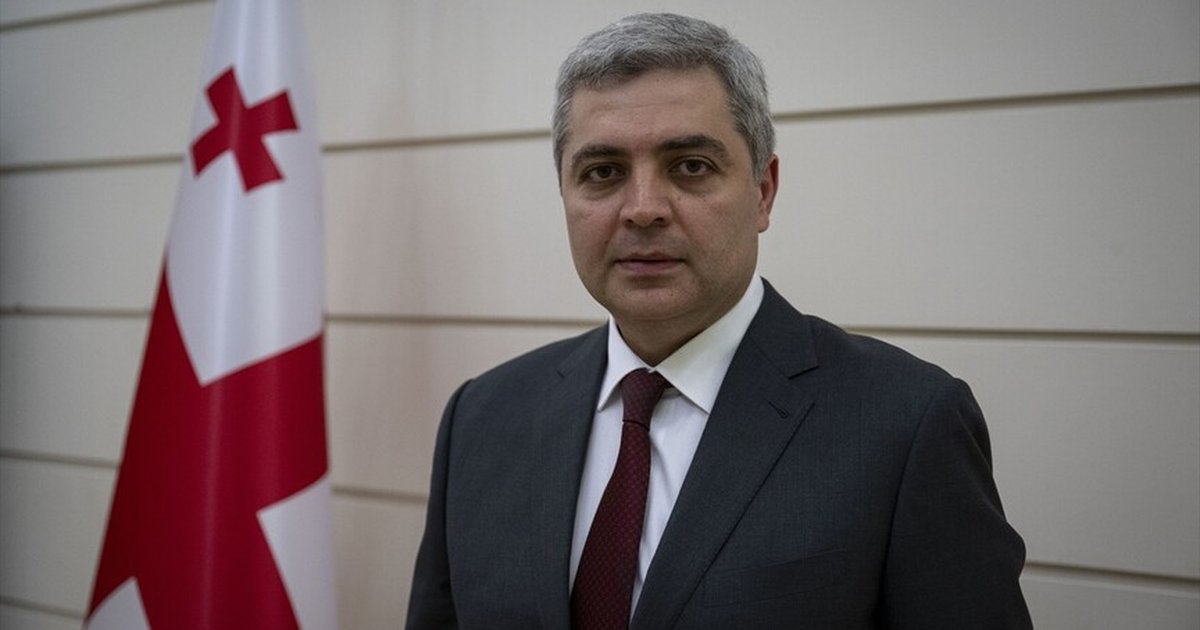 Gürcistan Türkiye barış konusunda ortak noktalar