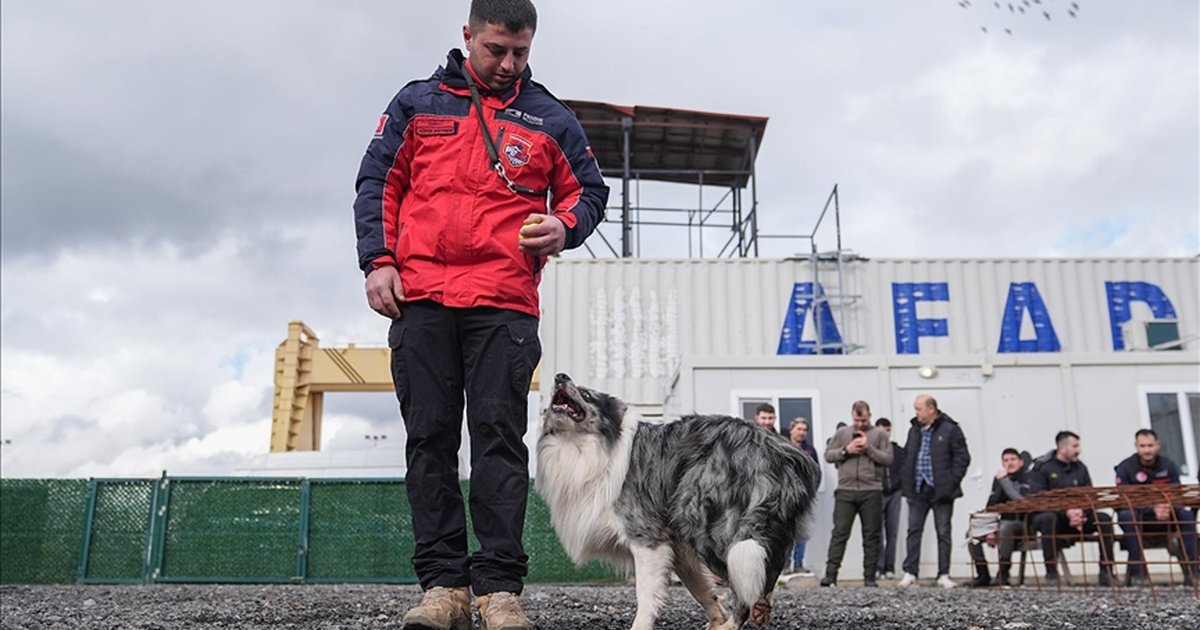 19 Köpek Arama Kurtarma Görevine Hazırlanıyor