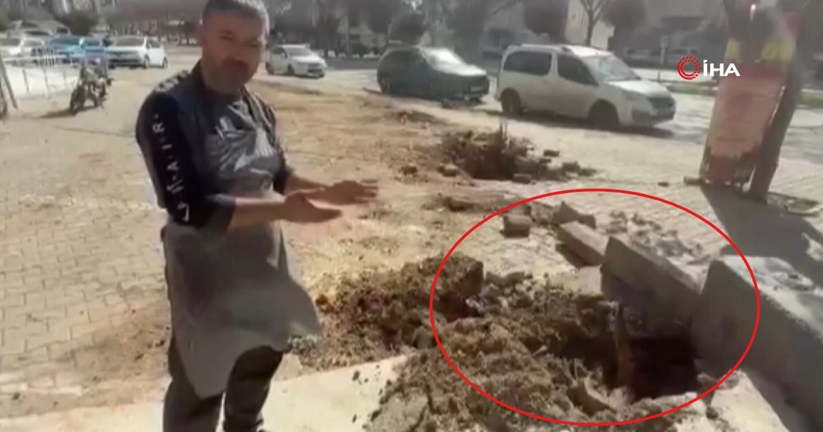 Adana'da şiddetli rüzgar ağaçları devirdi