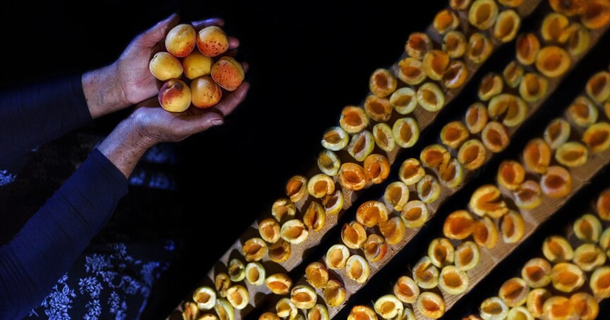 Malatya'dan yılın ilk çeyreğinde 66 milyon dolarlık kuru kayısı ihracatı