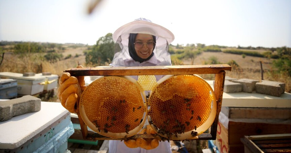 Türk balı 31 ülkede alıcı buldu