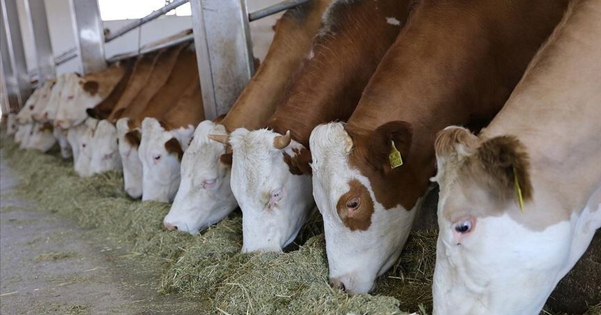 Kastamonu'ya 784 milyon liralık yatırım