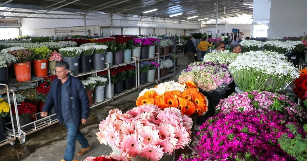 İzmir'den Anneler Günü'ne 8 milyon dal çiçek