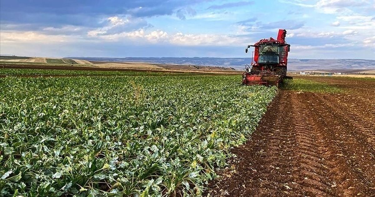 Çiftçilere 35,6 milyar liralık tarımsal destek