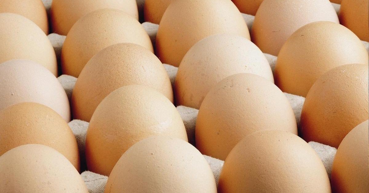 Türk yumurtasına Avrupa'dan yoğun talep