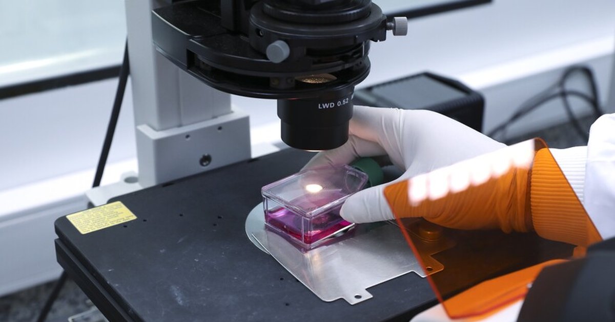 Fauci'nin Çin'deki koronavirüs araştırmalarına fon sağladığı iddiası