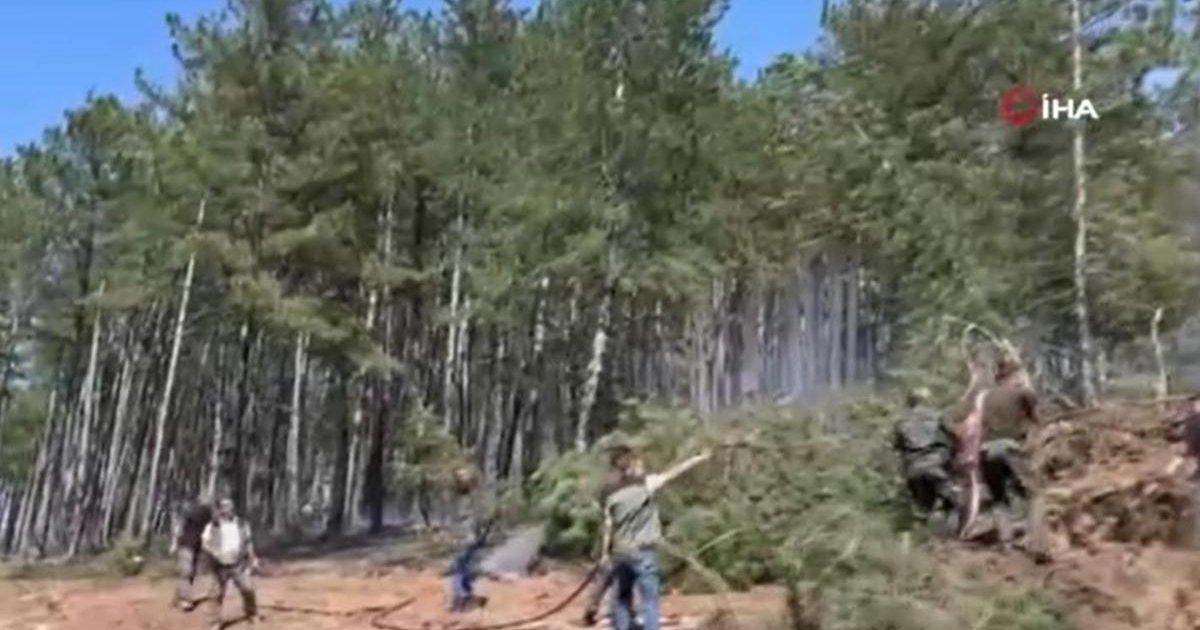 Kastamonu'da orman yangını kontrol altına alındı
