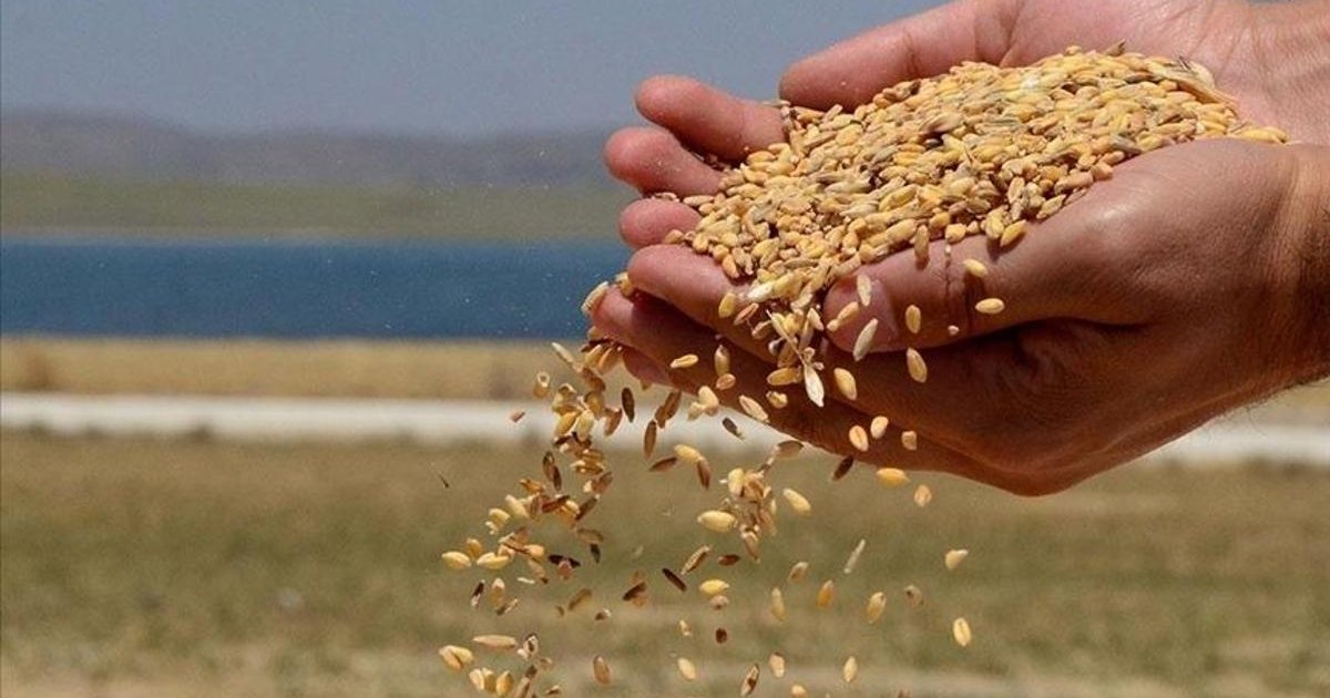 Türkiye'nin hububat ihracatı 6 ayda 5,8 milyar doları aştı