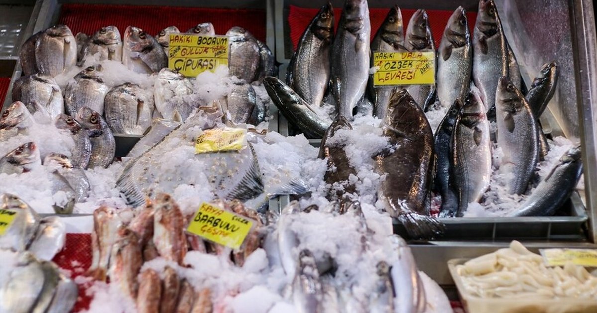 Türkiye'nin su ürünleri ihracatı rekor kırdı