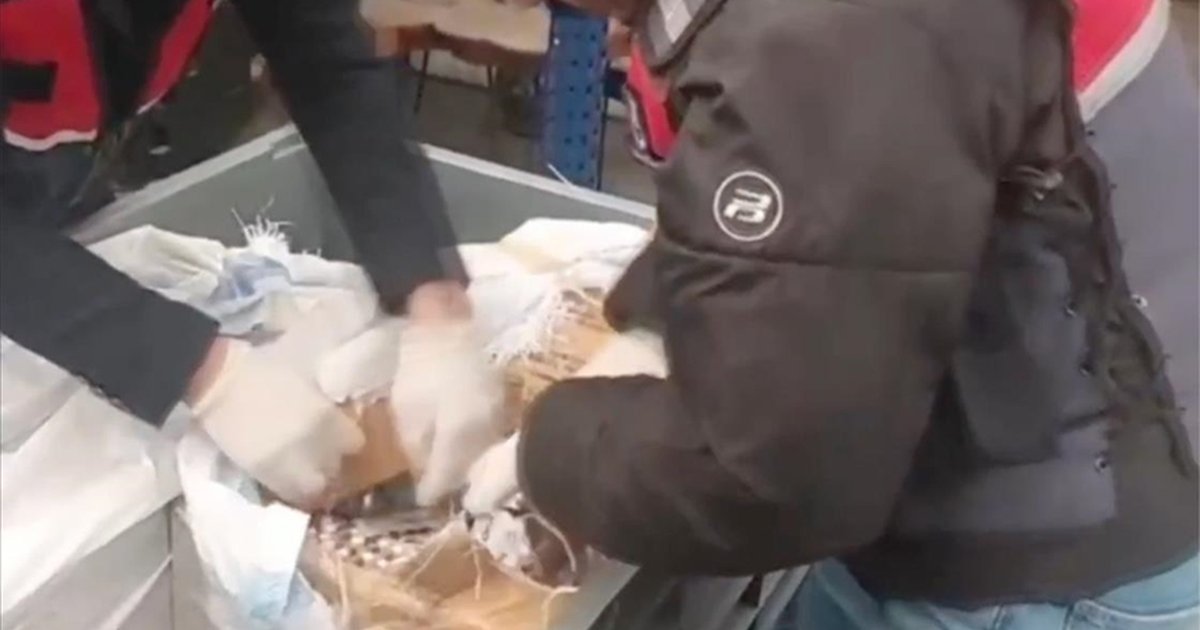 Uyuşturucu satanlara operasyon: 99 tutuklu