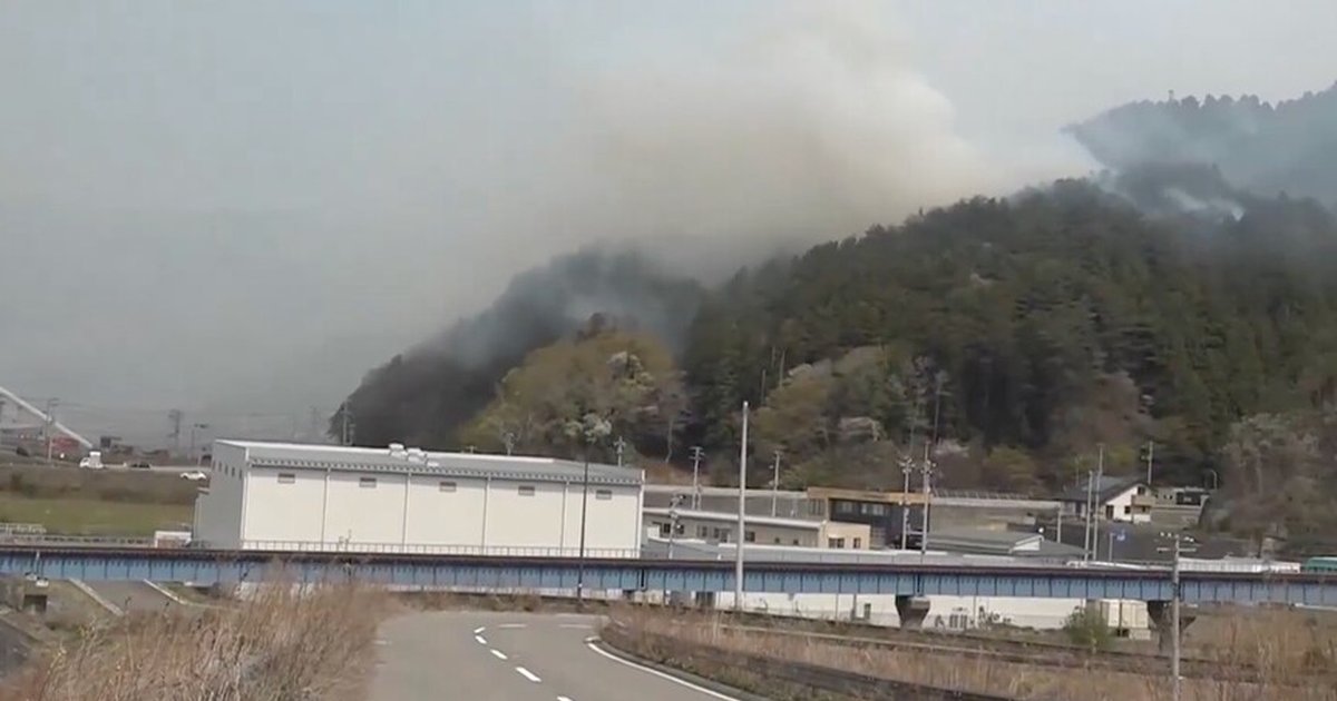 Japonya'da orman yangınları kontrol altına alındı