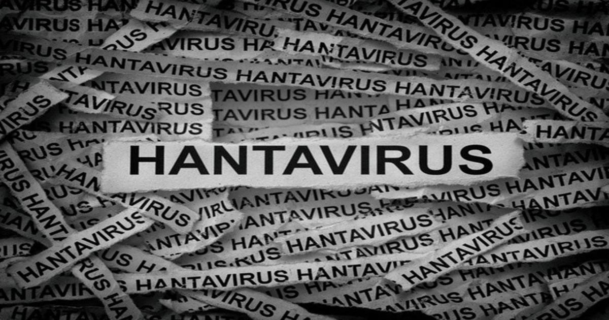 Hantavirüs belirtileri ve bulaşma yolları