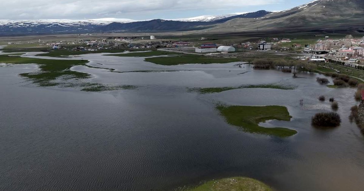 Ardahan'da Kura Nehri Taşması Sonrası Ovada Su Baskını