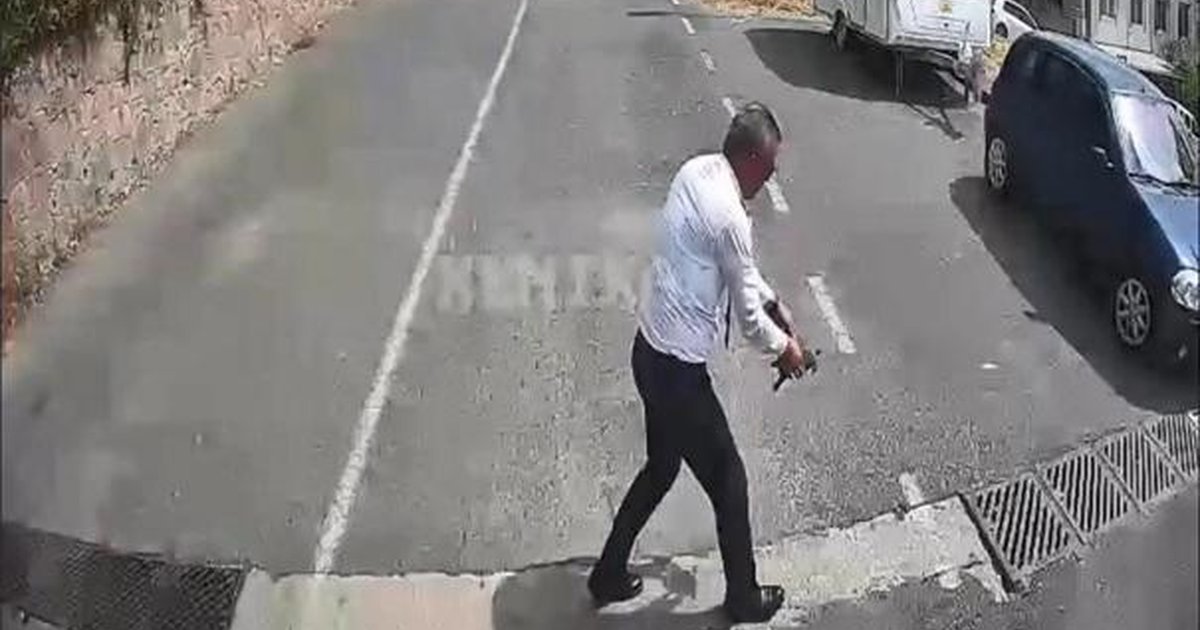 Otobüs şoförü kaplumbağayı ezilmekten kurtardı