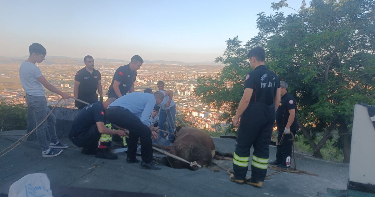 Afyonkarahisar'da itfaiye ineği çatıda sıkıştığı yerden kurtardı