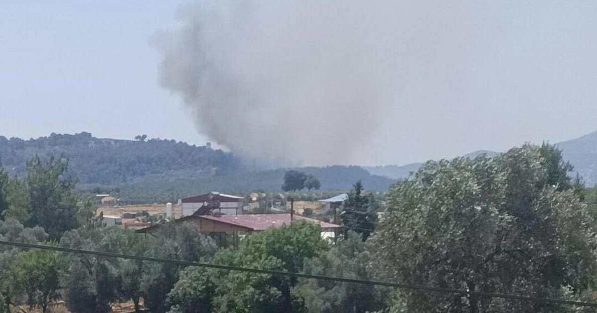 Muğla'da yangın: Alevler ormanlık alana sıçradı