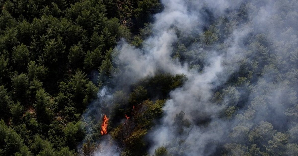 Fethiye'de orman yangınına müdahale
