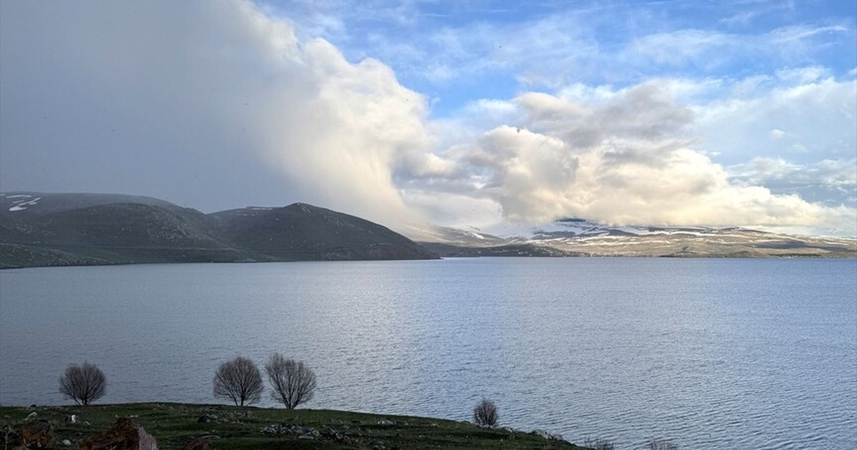 Çıldır Gölü'nde buzlar eridi, yaban kuşları görüldü