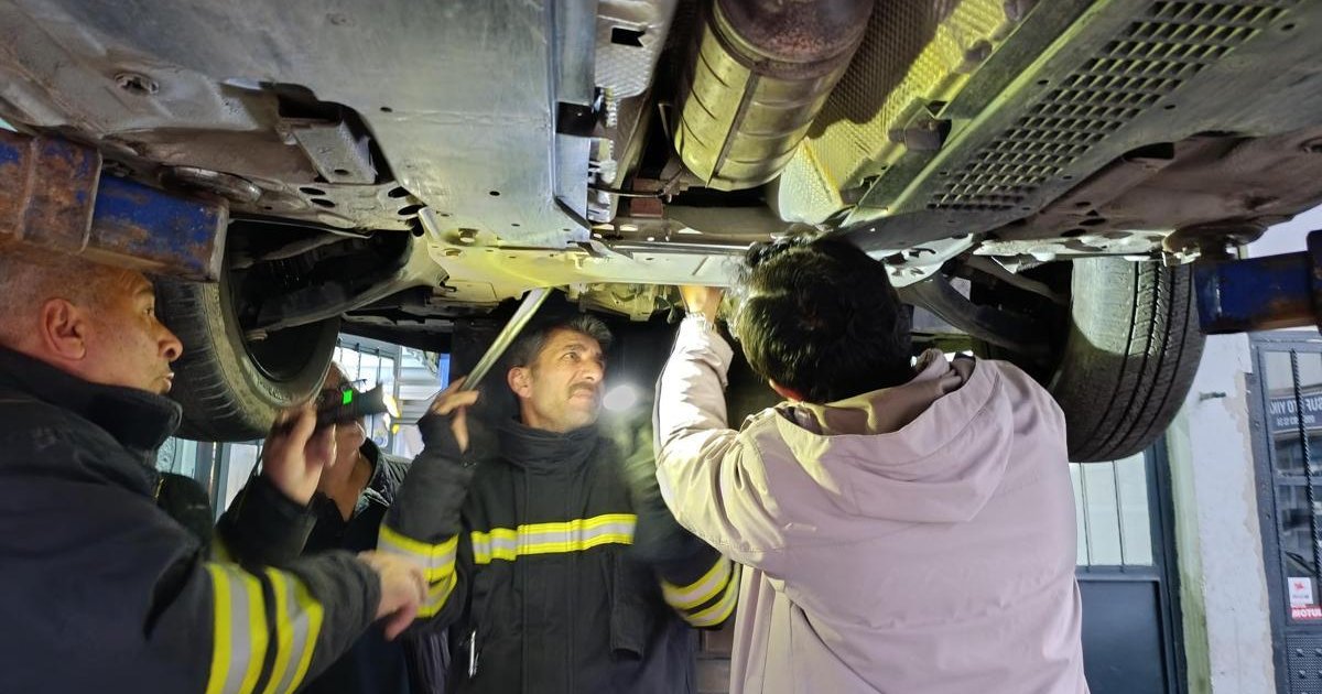 Erzincan'da kedi krizi: Aracın motorundan sanayide kurtarıldı