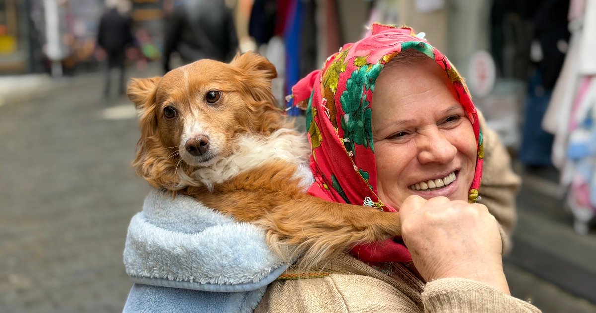 Trabzon'da kadının köpeği sırtında taşıması