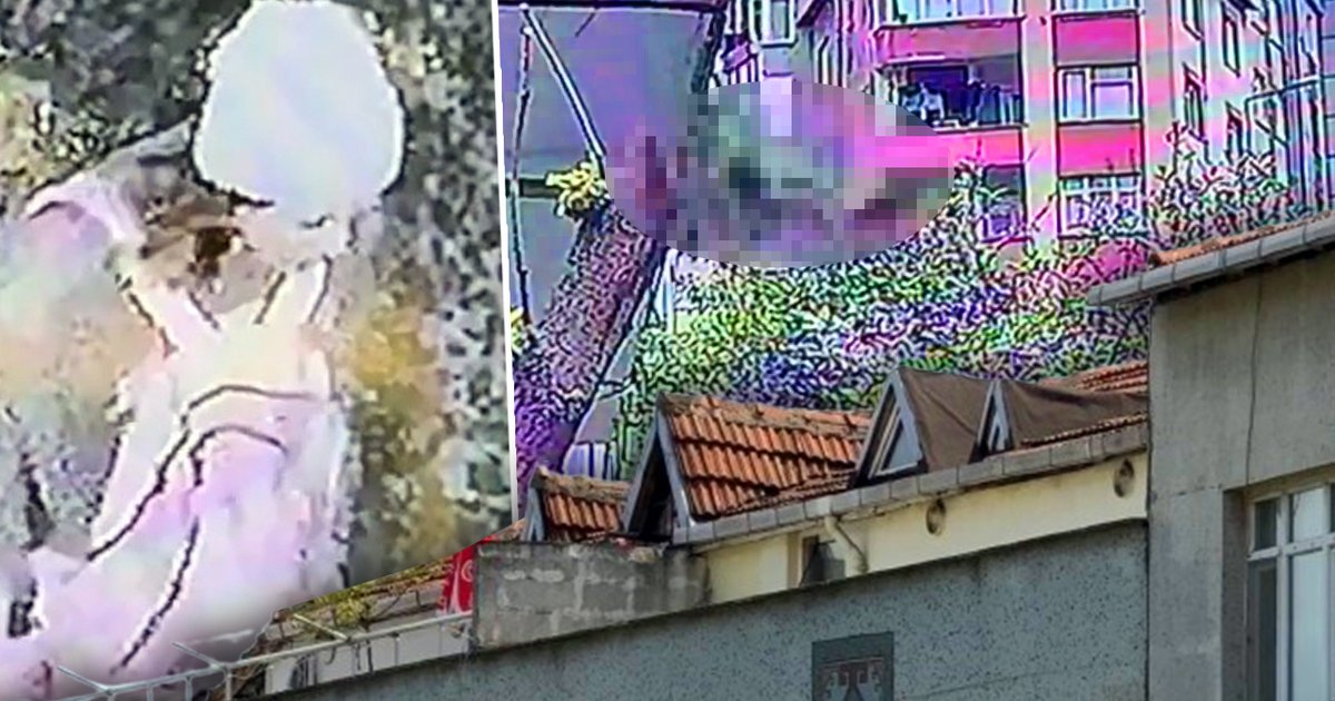 Doktor Alime Özge K. terasdan düştü, yaşam savaşı veriyor