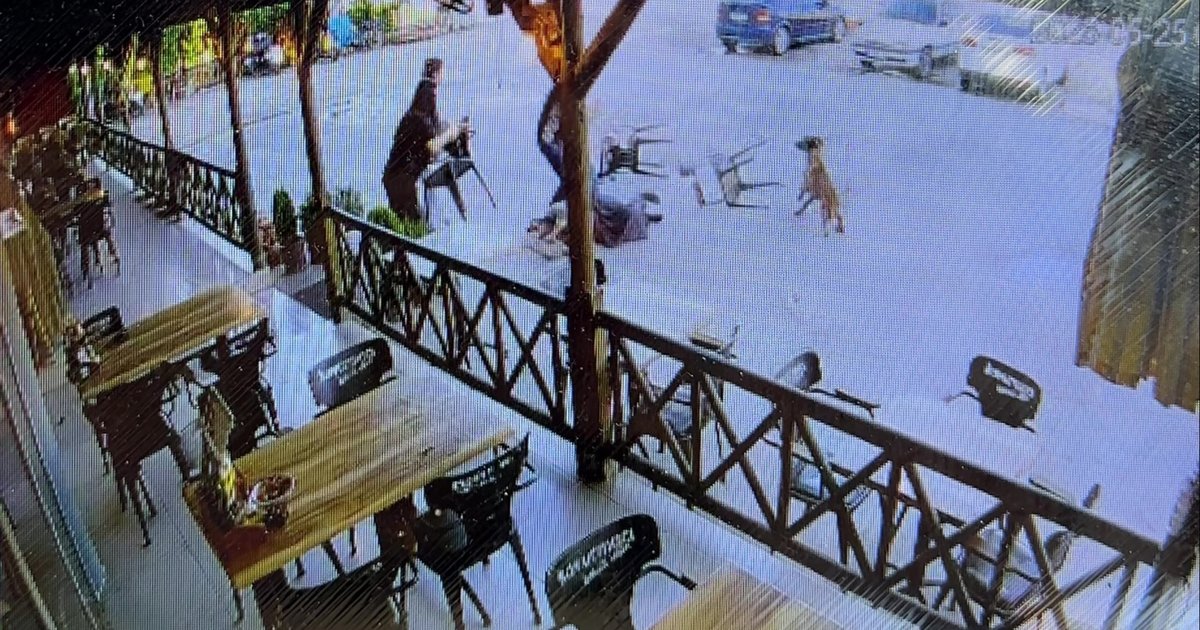 Afyonkarahisar'da köpek saldırısı: 1 kol koparıldı