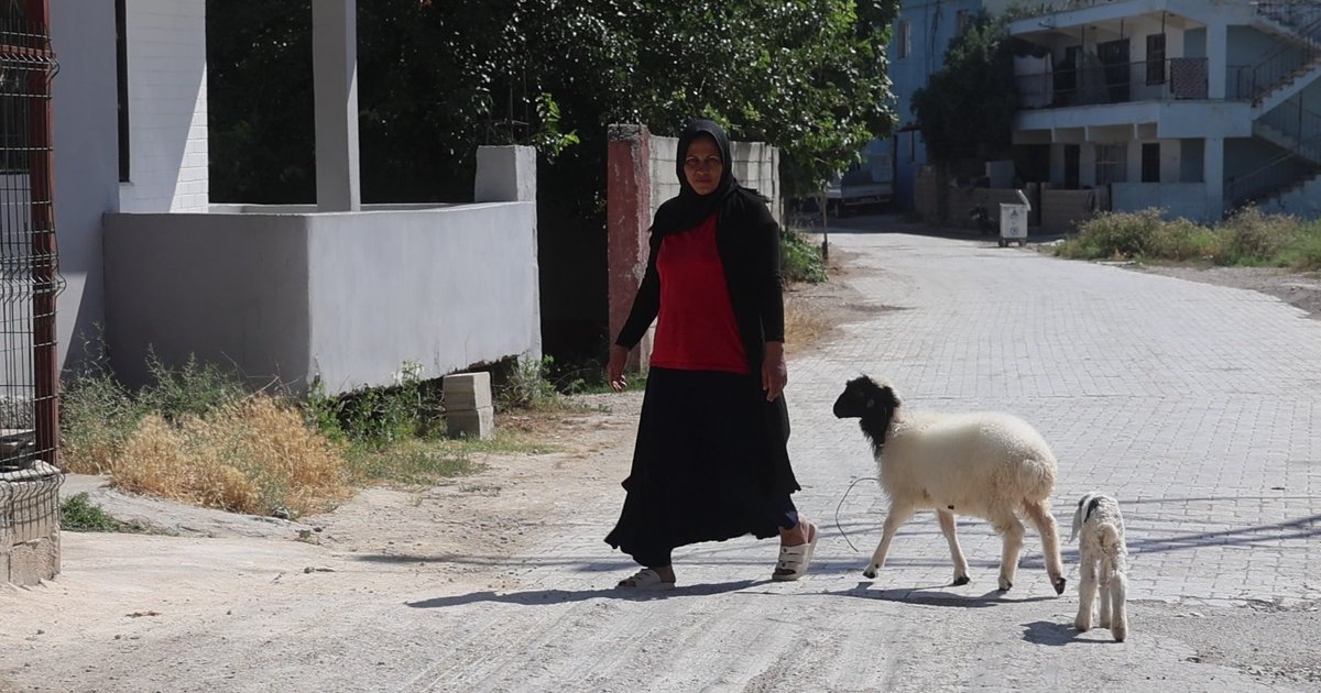 Evladını Lösemiden Kaybeden Anne, Teselliyi Kuzuda Buldu
