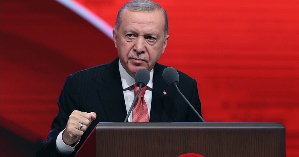 Cumhurbaşkanı Erdoğan: Türkiye bölgesel türbülanstan başarıyla çıkacaktır