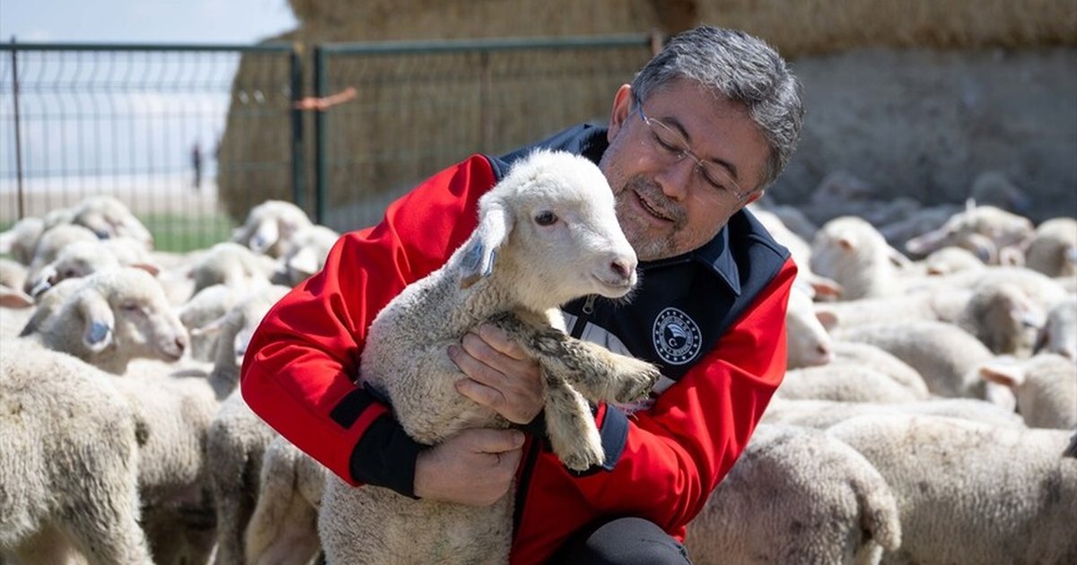 Bakan Yumaklı'dan Kırsalda Bereket Küçükbaşa Destek Projesi