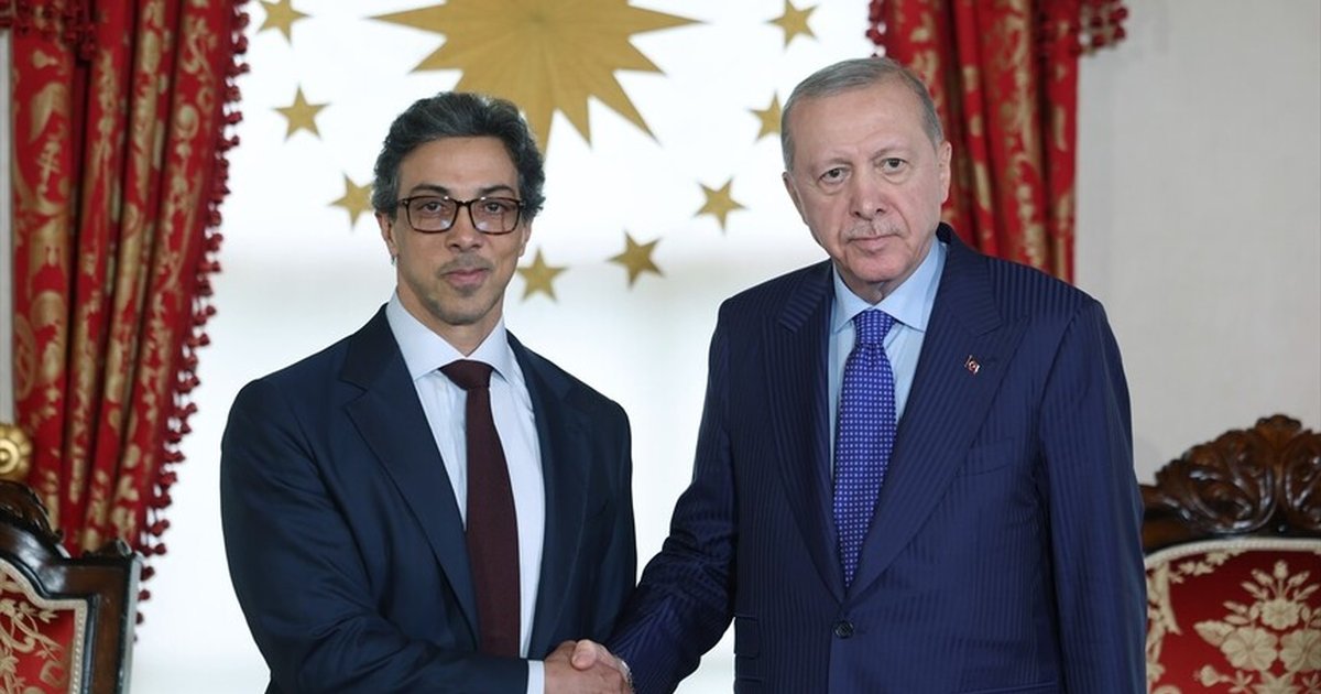 Cumhurbaşkanı Erdoğan, BAE Devlet Başkan Yardımcısı ile görüştü
