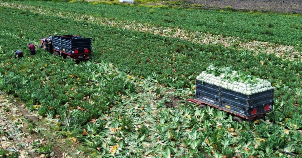 Bakan Yumaklı'dan Tarım Destekleme Ödemesi Açıklaması