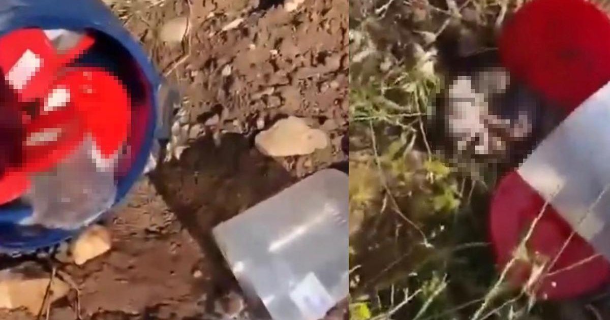 Şanlıurfa'da Mezarlıkta Cenin Bulundu