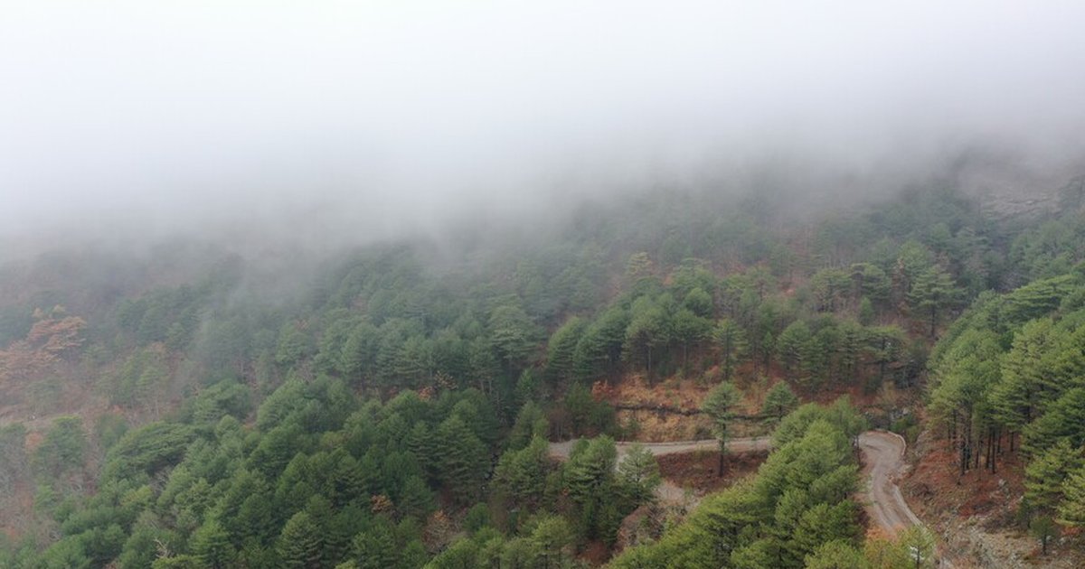 Çanakkale'de ormanlara girişler yasaklandı