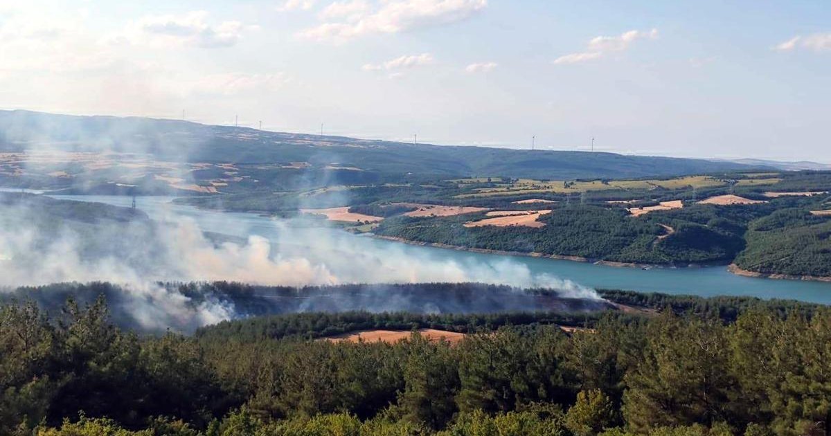 Kırklareli'de ormanlara giriş yasağı
