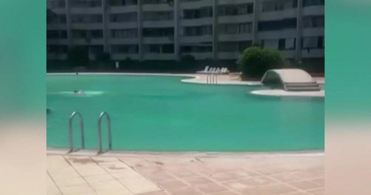 Mersin'de Havuzda Haşema Yasağı Soruşturması