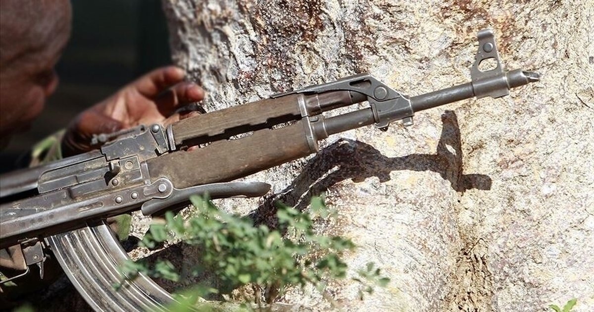 Somali'de Eş-Şebab'a operasyon: 30'dan fazla terörist etkisiz
