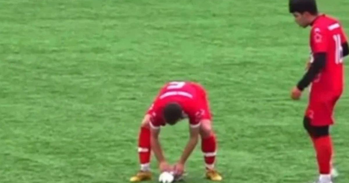 Maçta top çarpan martıya kalp masajı yapıldı