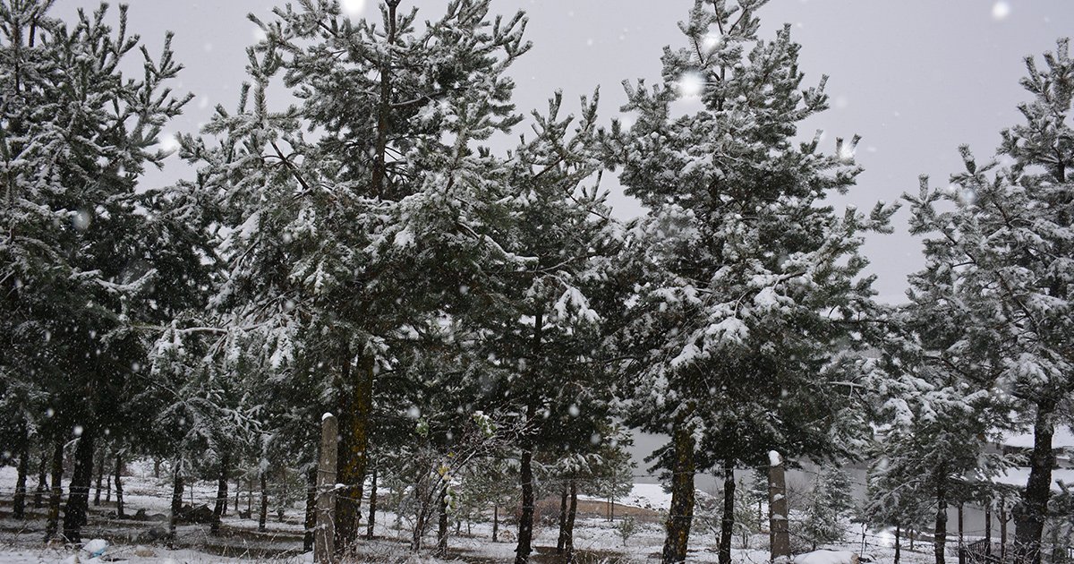 Bahar yerine kar geri geldi