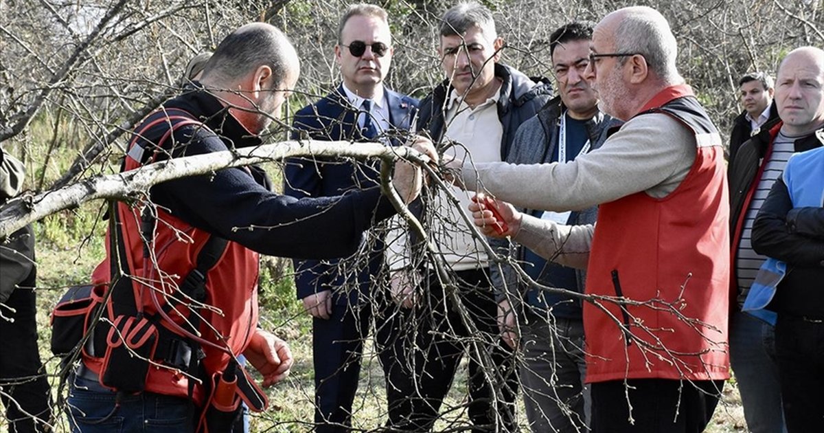 Yükümlüler fındık eğitimiyle verimi artırıyor