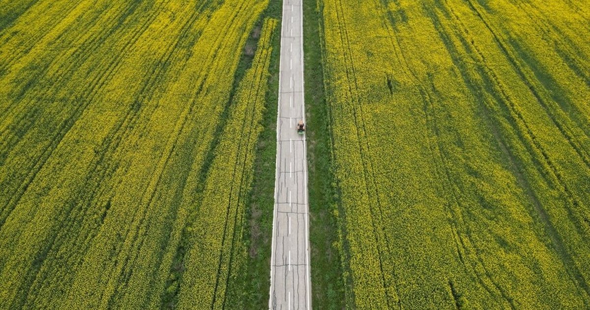 Trakya'da yağışlar tarım verimini artırdı