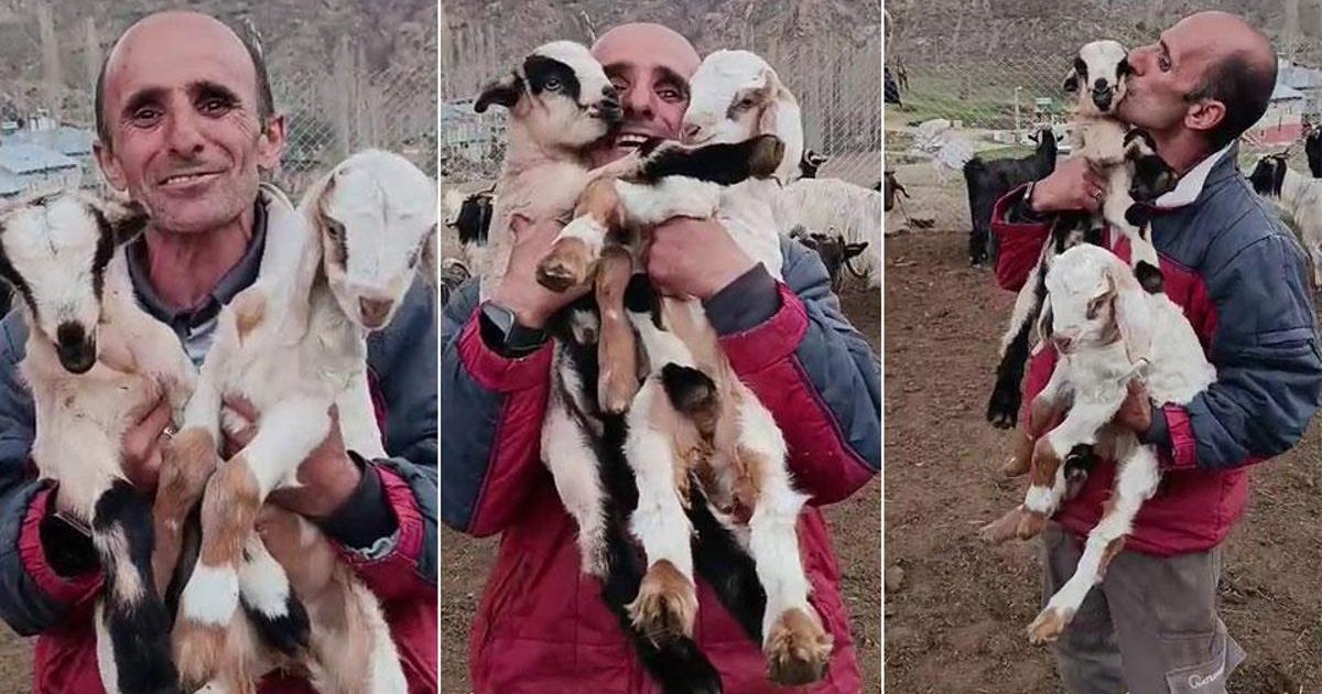 Erzurum'da çobanın oğlak sevgisi