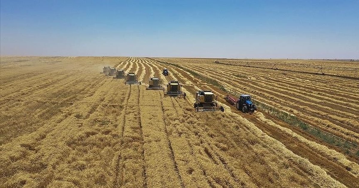 Çiftçilere yem bitkileri ekimi önerisi